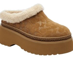 COACH Women's Cecelia Slip-On Platform Clogs